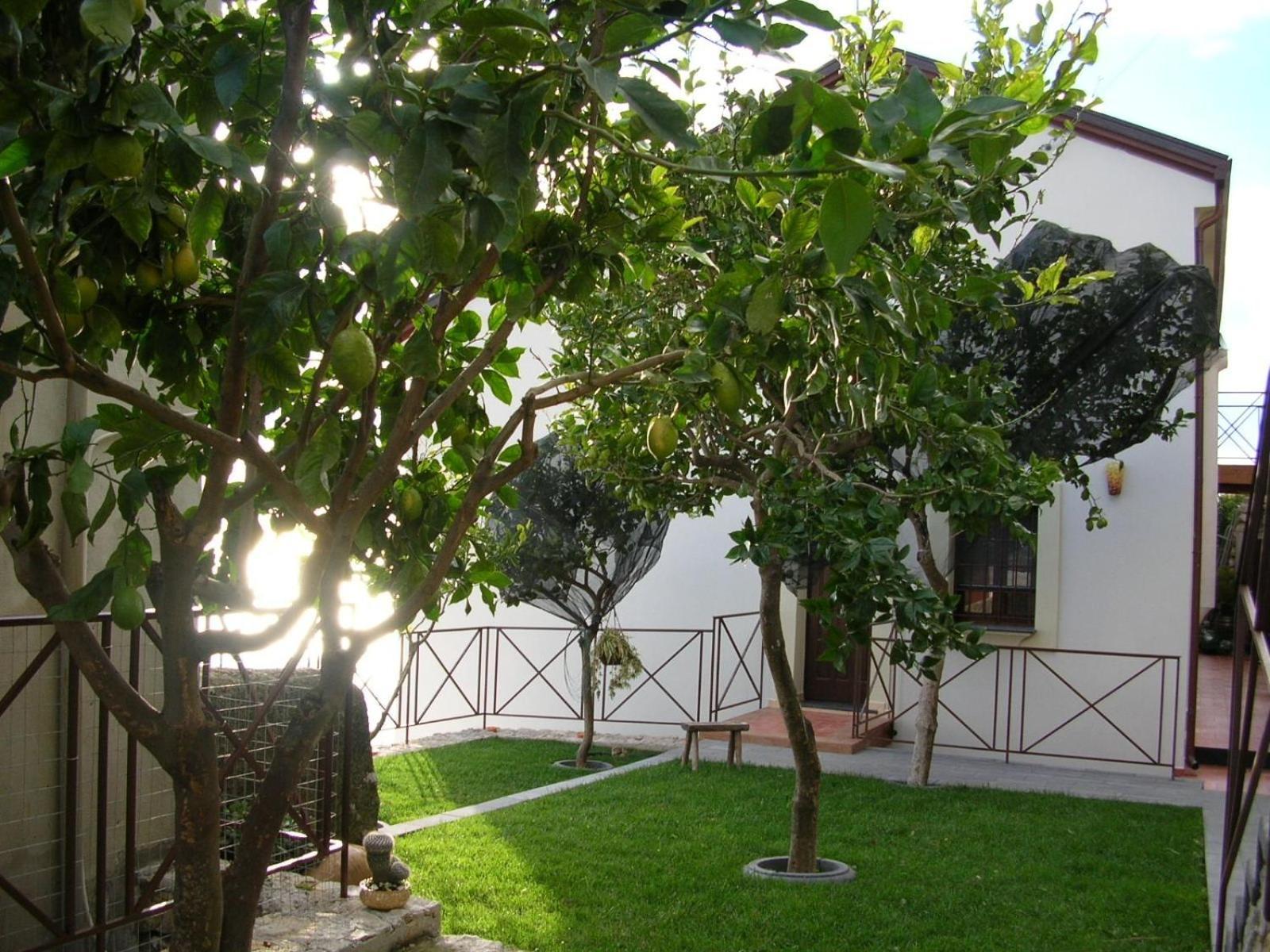 L'eco Dell'800